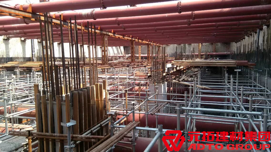 http://www.xinyibbs.cn/